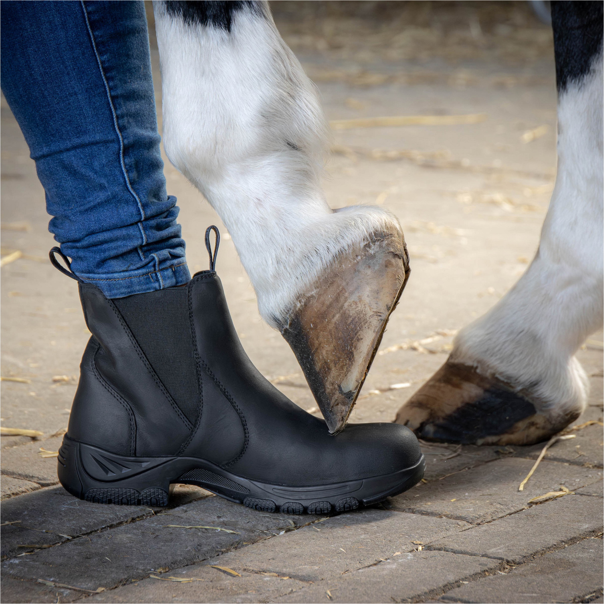 2026 Harrys Horse Unisex Stable Shoe Leather Safety Steel Toe 30100279 - Black